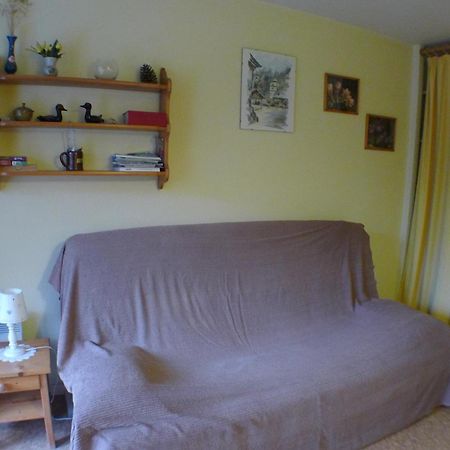 Studio Cosy Au Centre De Samoens Avec Parking Privatif - Fr-1-629-118 Buitenkant foto